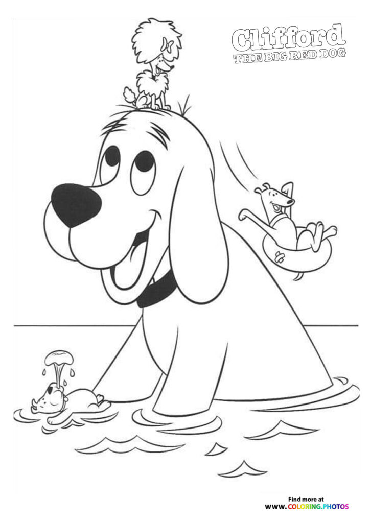 Clifford swimming with friends