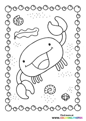 Crab on a beach