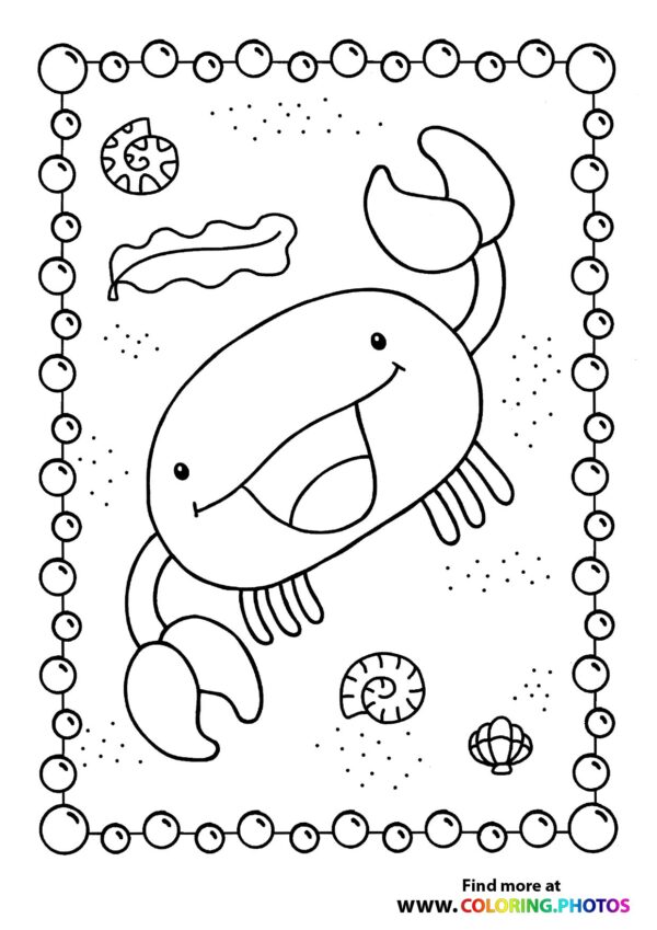 Crab on a beach