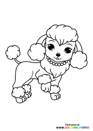 Dog waving his tail