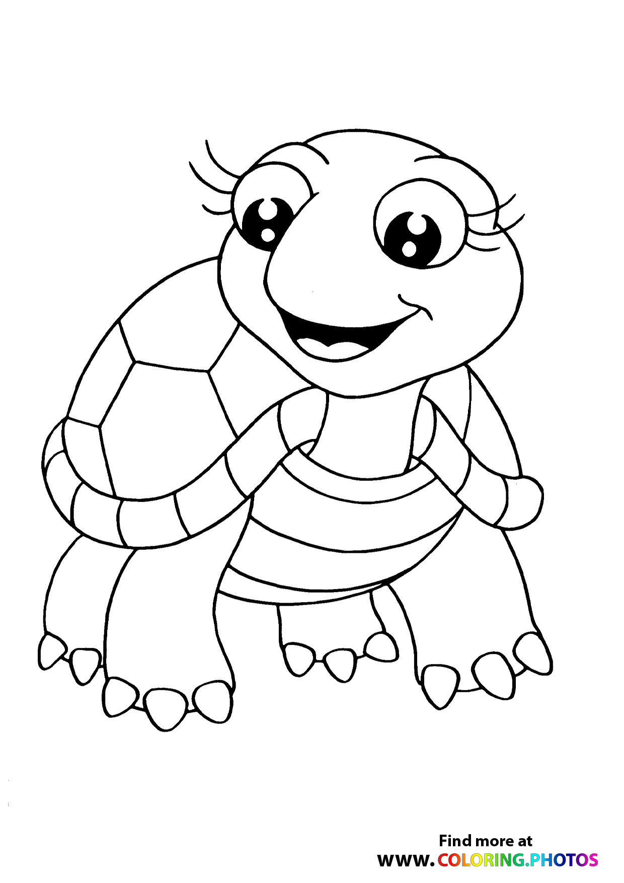 Cute turtle