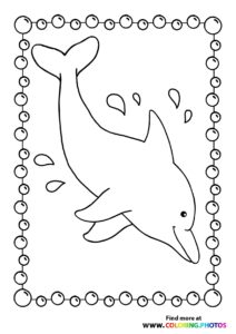Dolphins