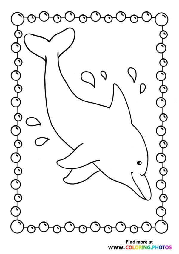 Dolphin swimming in sea