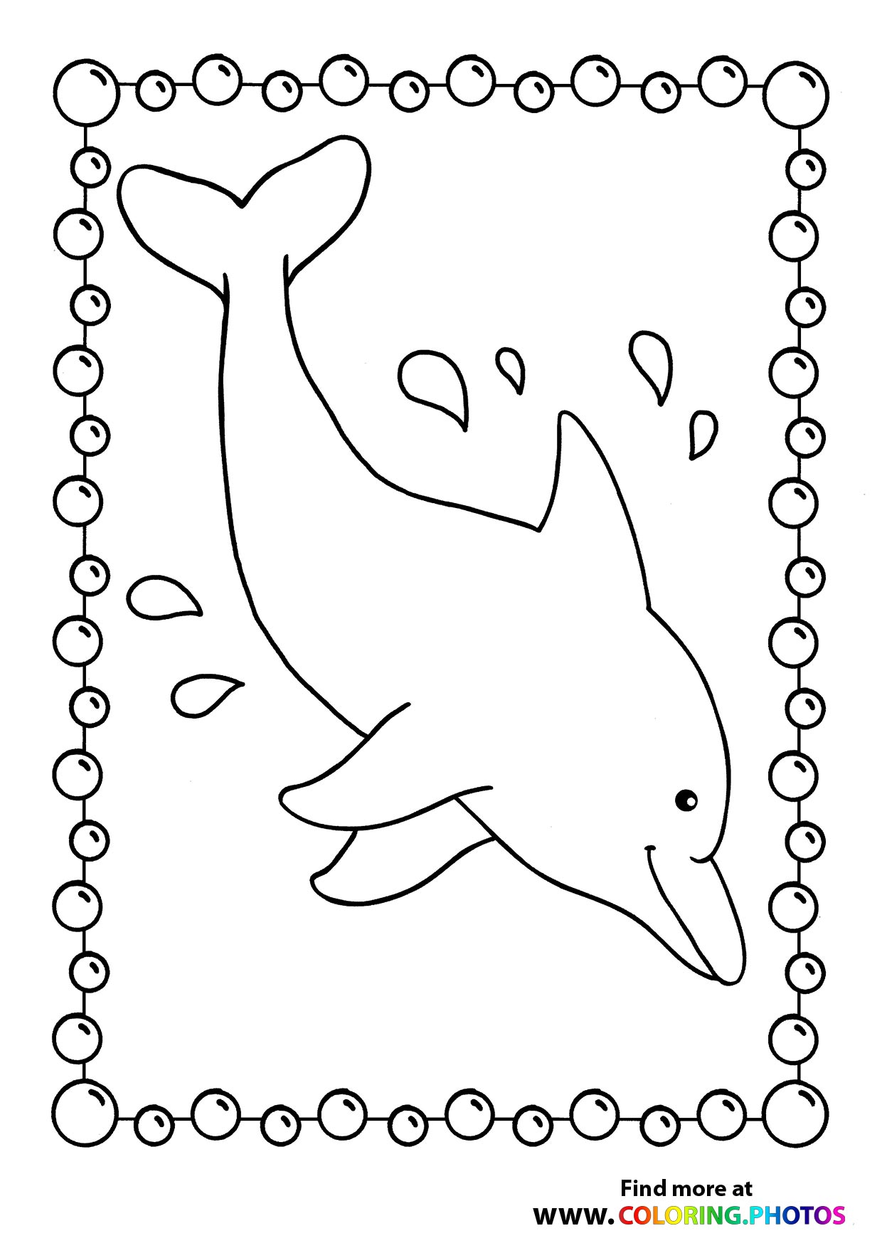 Dolphin swimming in sea