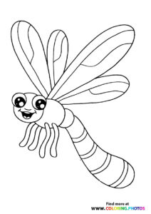 Dragonflys