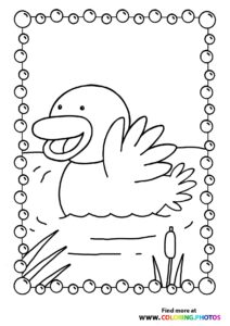 Ducks