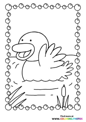 Duck in a pond