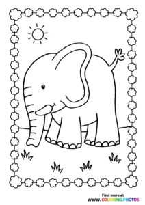 Elephants