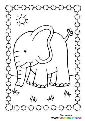 Elephant on a field