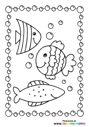 Fish swimming in the sea