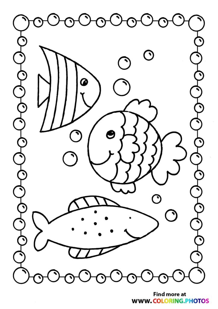 Fish swimming in the sea