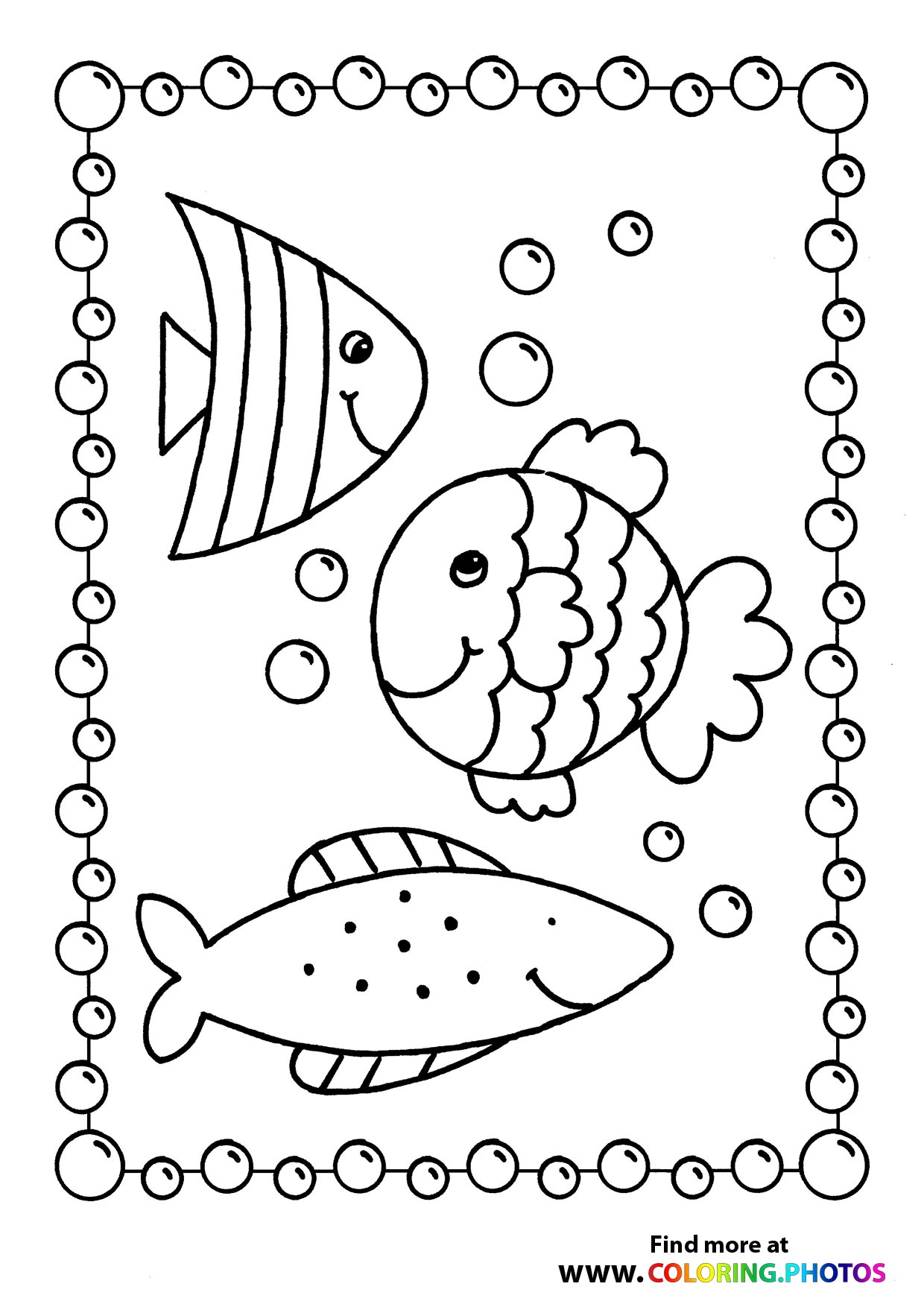 Fish swimming in the sea