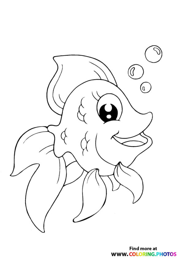 Fish swimming in a sea