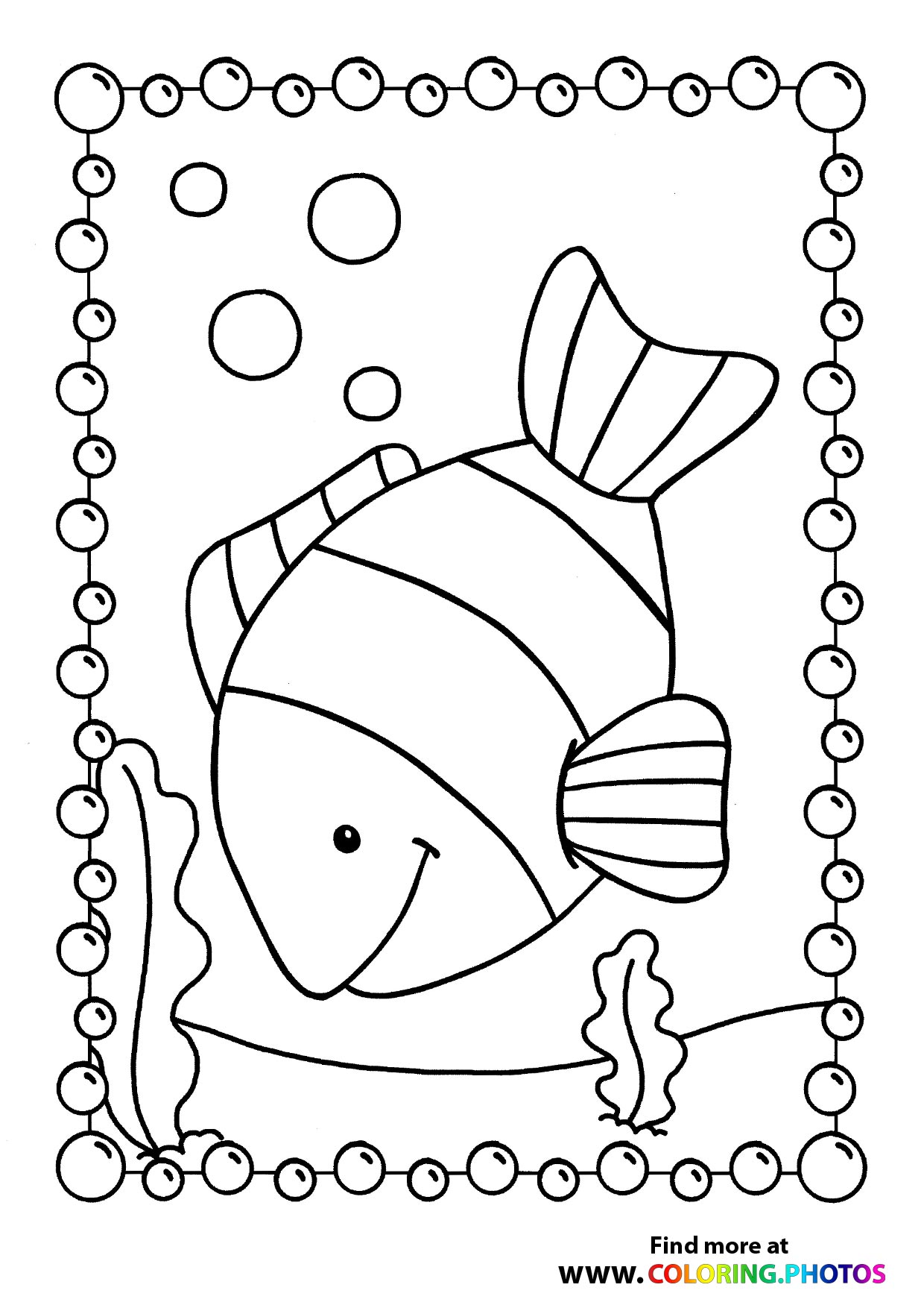 Small Fish swimming in the sea