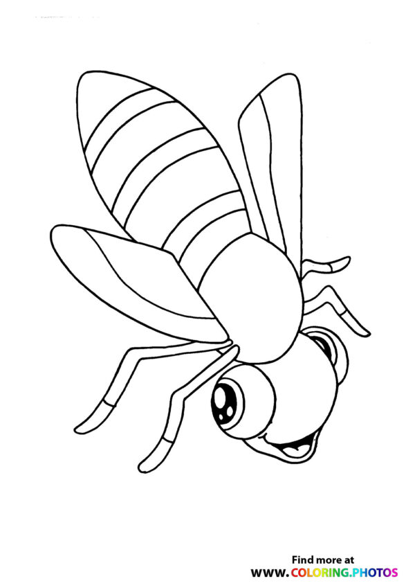 Fly smilling and flying