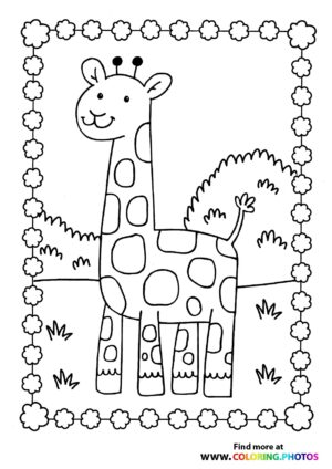 Giraffe on a grassy field