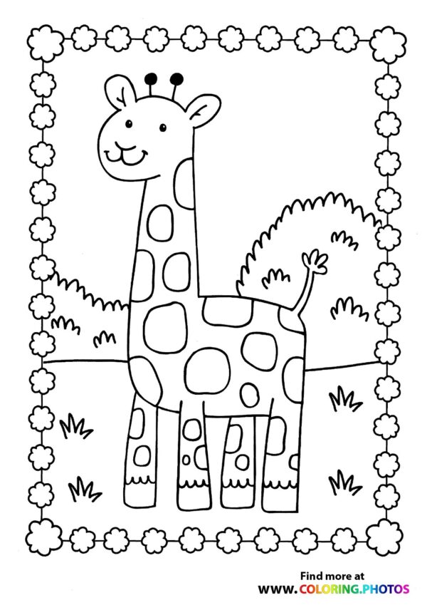 Giraffe on a grassy field