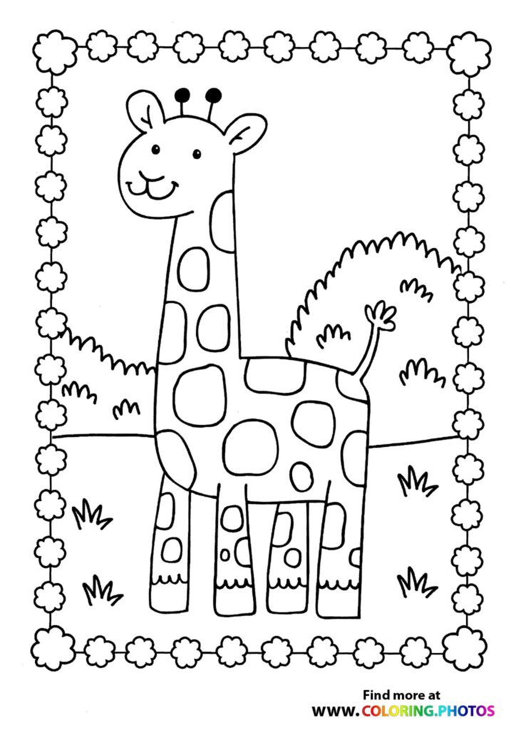 Giraffe on a grassy field