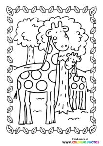 Giraffes