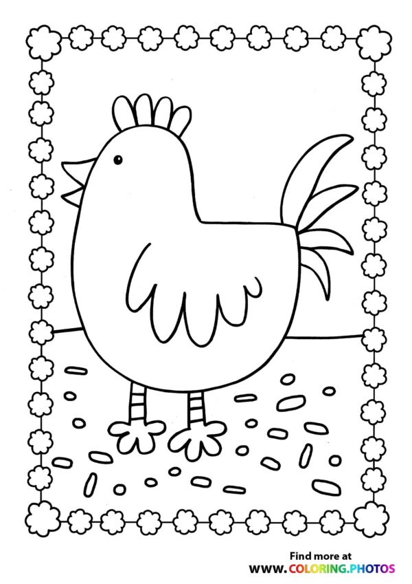 Hen on a field