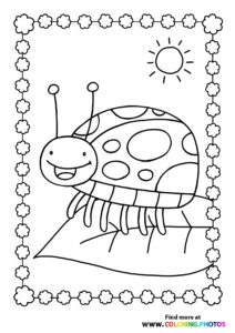 Ladybugs