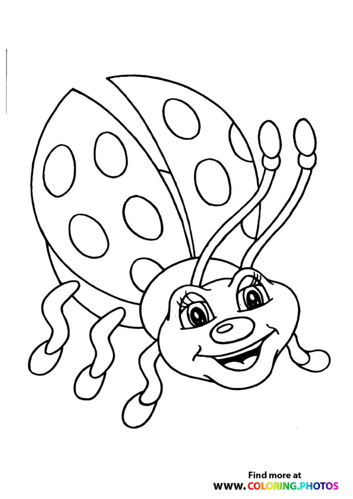 Ladybug flying