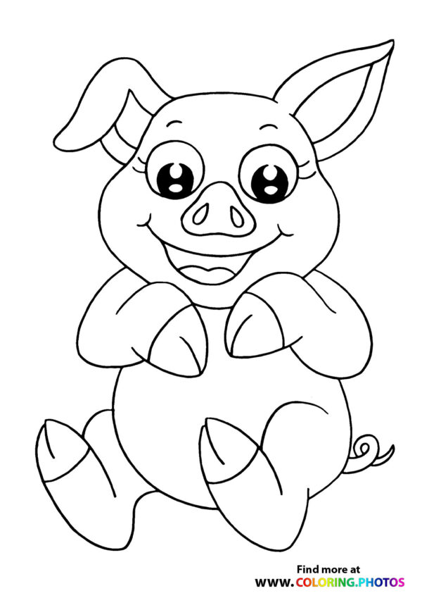 Cute pig