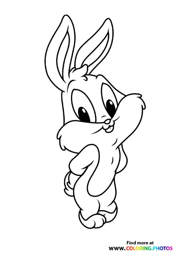 Cute little bunny