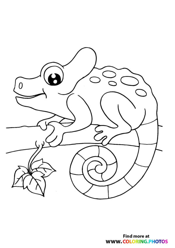 Lizard on a branch