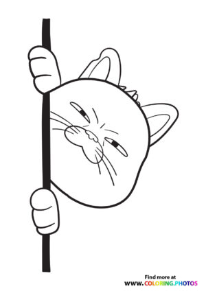 Luca's Cat on the Rope