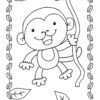 Monkey hanging from liana