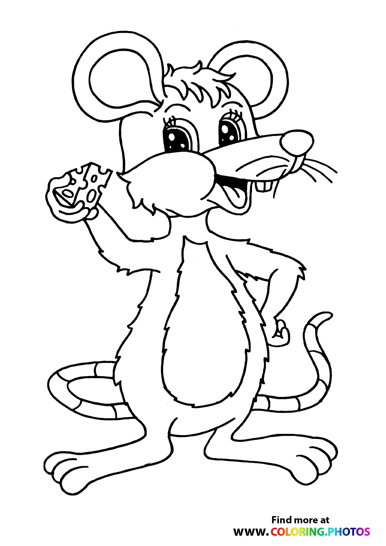 Mouse with a chesse