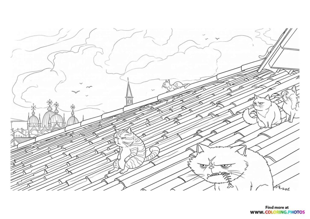 Gatto on the Rooftop