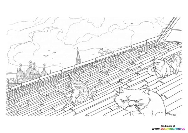 Gatto on the Rooftop