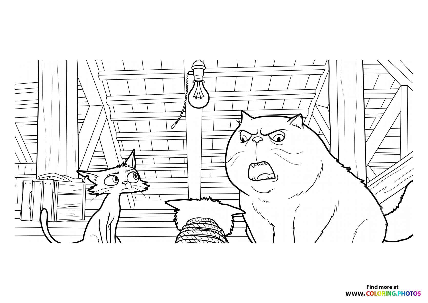 Gatto in the Barn