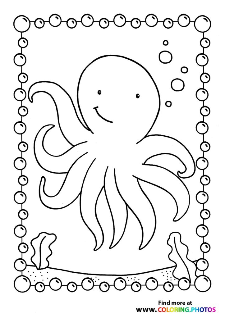 Octopus swimming in sea