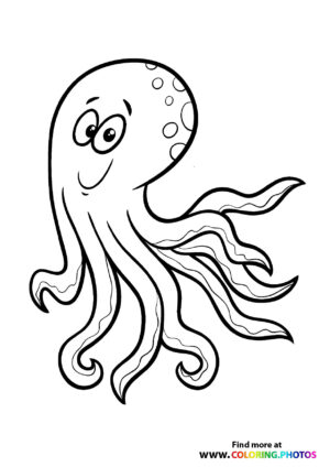 Octopus with dots
