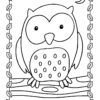 Owl on a branch