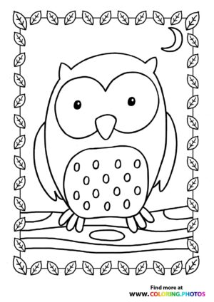 Owl on a branch