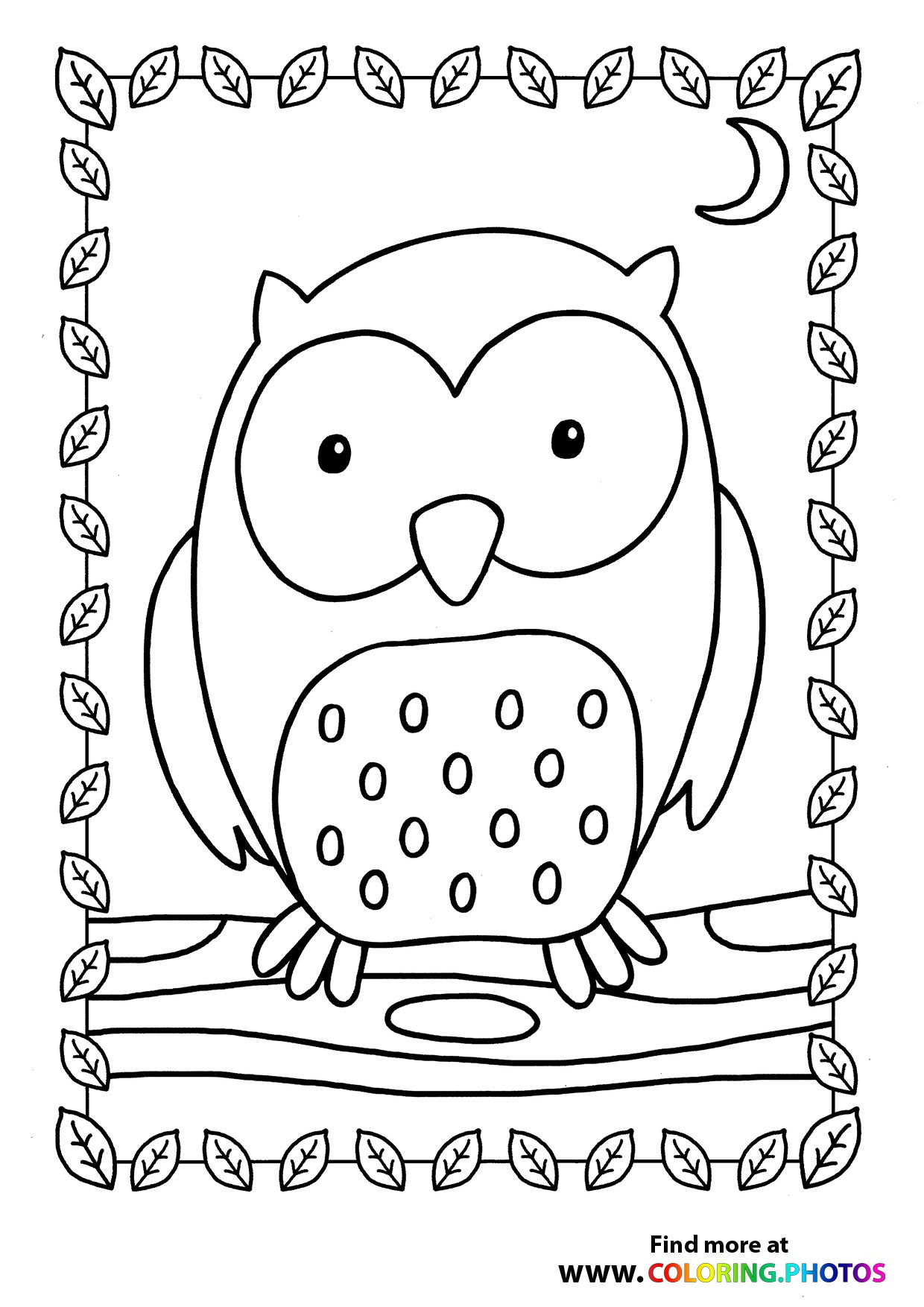 Owl on a branch
