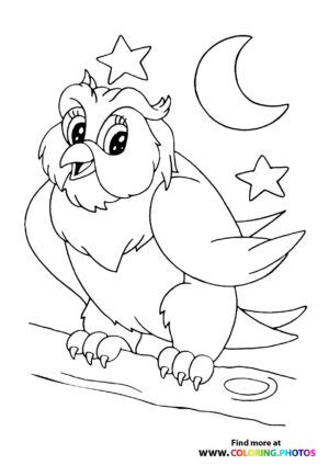 Owl on a branch