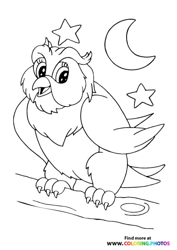 Owl on a branch