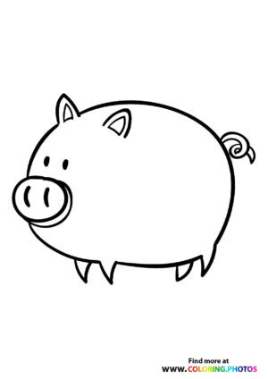 Large pig