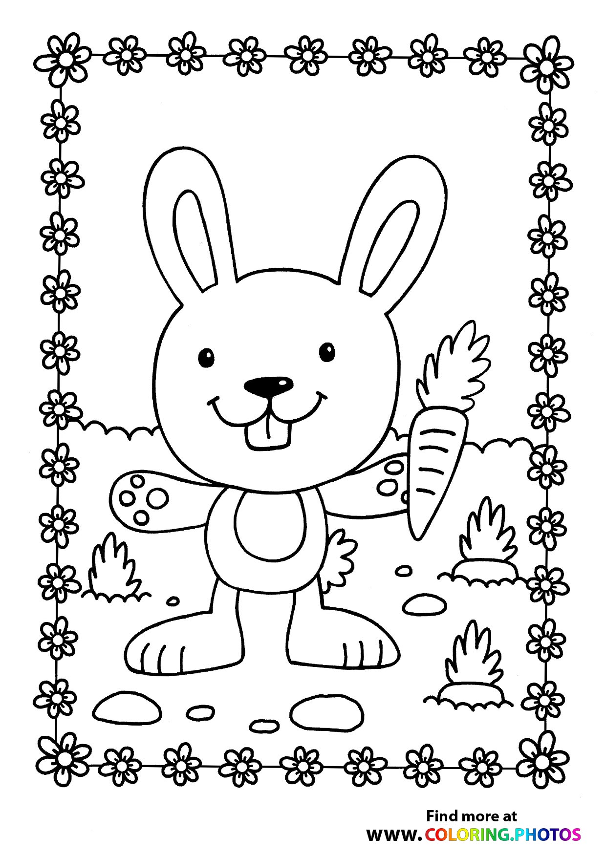 Rabbit with a carrot