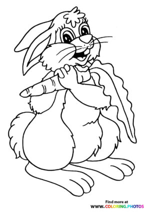 Rabbit eating carrot