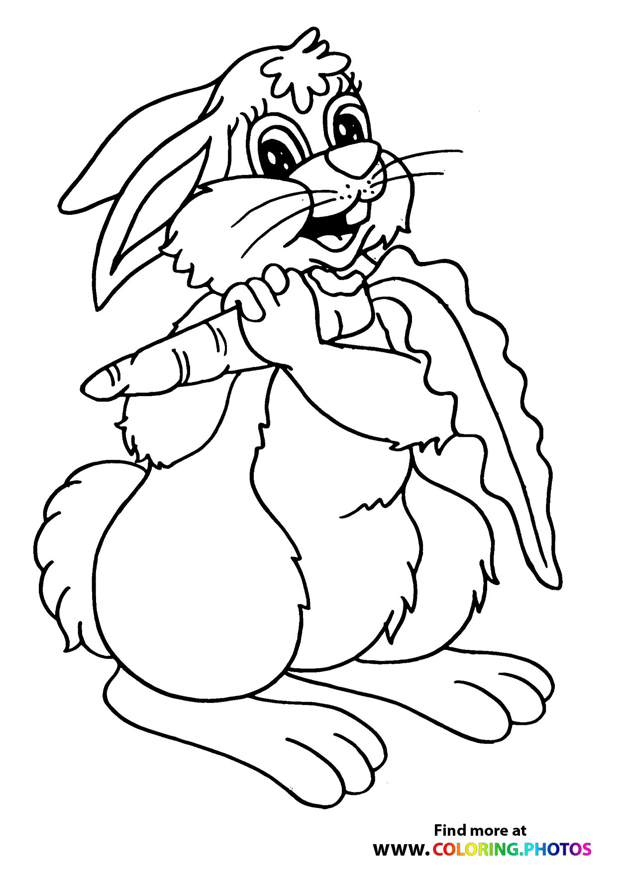 Rabbit eating carrot
