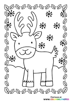 Reindeer in snow