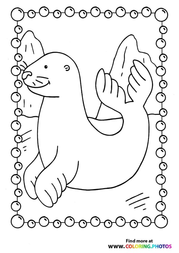 Seal on a beach