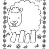 Sheep on a field