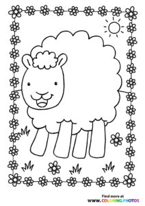 Sheep